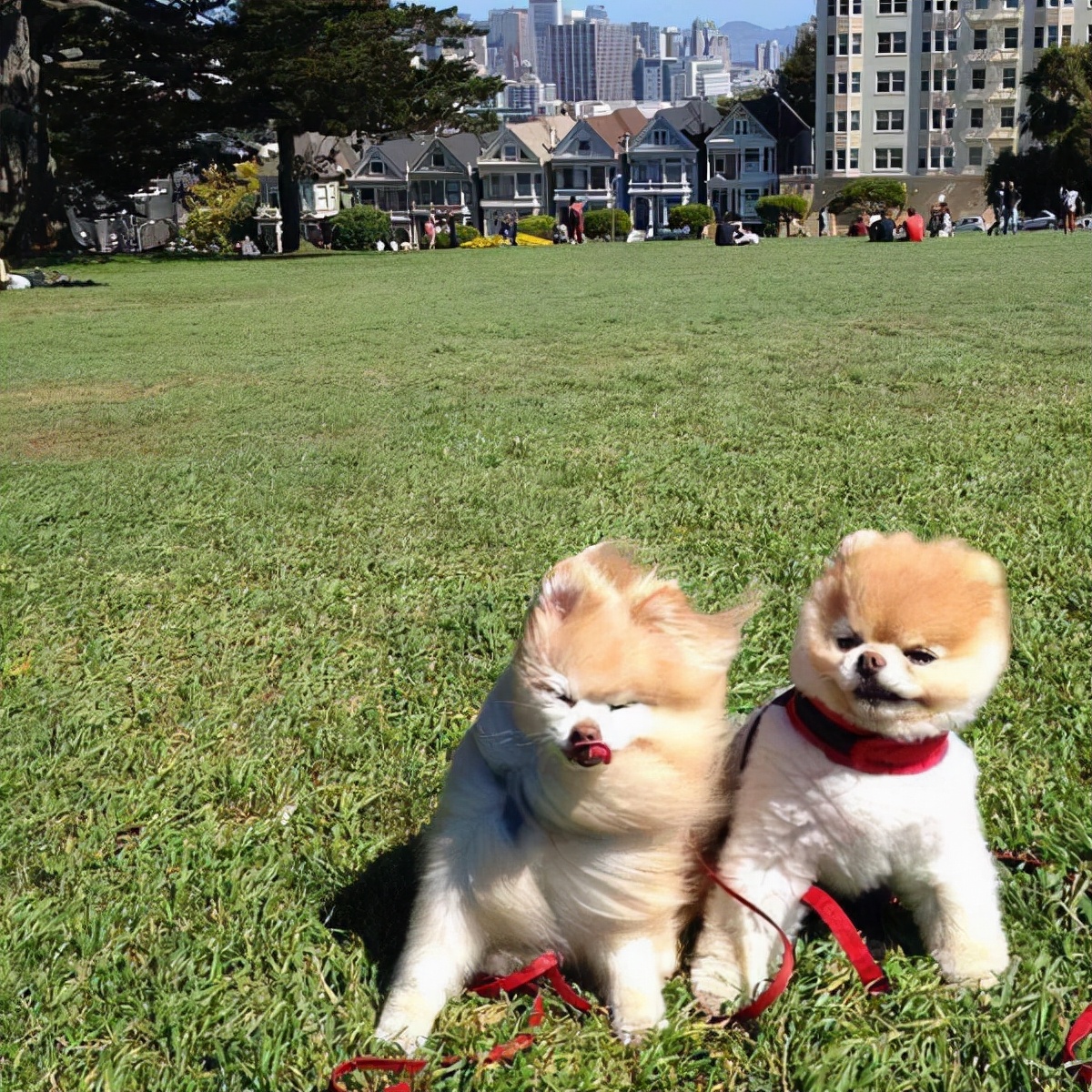 80张神奇偶然瞬间，环形闪电，海蛇和最毒石斑鱼互咬，骑骆驼拍照