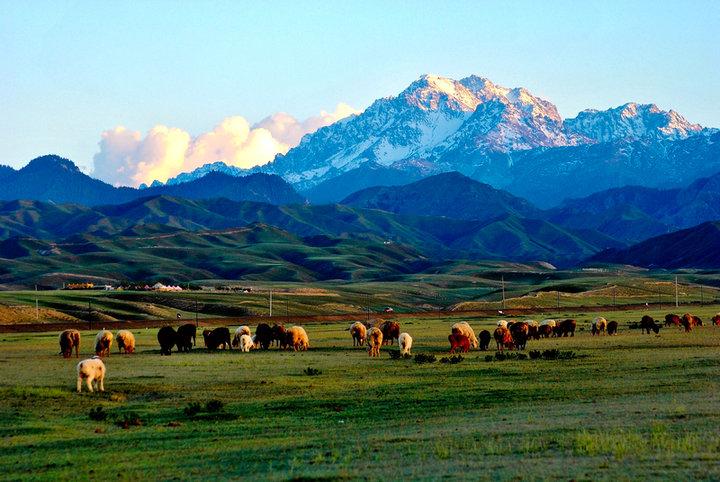 你知道内蒙古为啥不包邮吗,新疆内蒙为什么不包邮