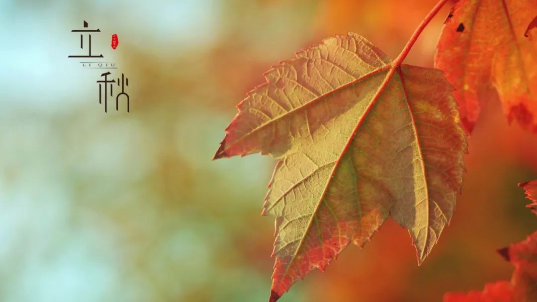 立秋的经典诗词,立秋最好的十首诗词