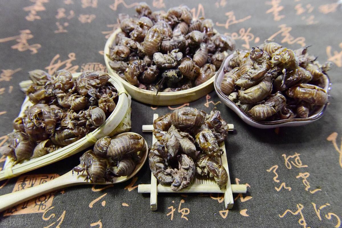 中医治疗湿疹荨麻疹皮炎,荨麻疹湿疹止痒的中药材