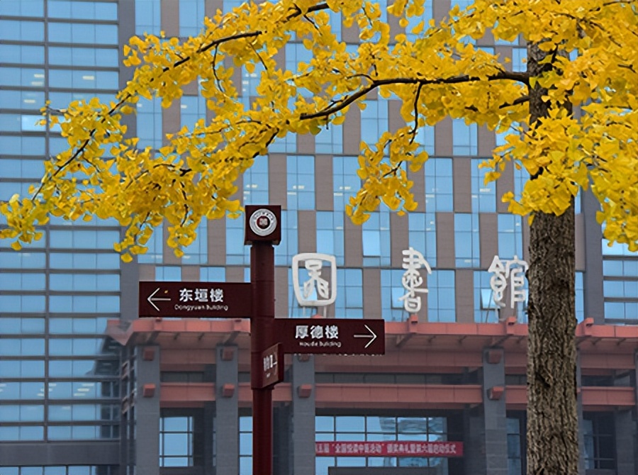 中医药大学毕业生就业情况,贵州中医药大学护理硕士毕业就业