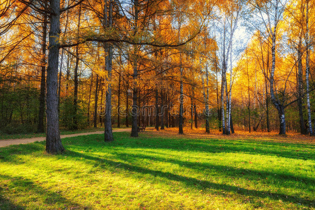 我花90万在儿子家附近买房子，以为晚年幸福了，可是很难见到儿子
