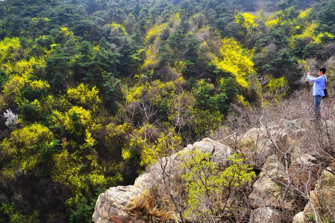 济南的深秋时节的诗情画意,春天的济南是个美丽的地方