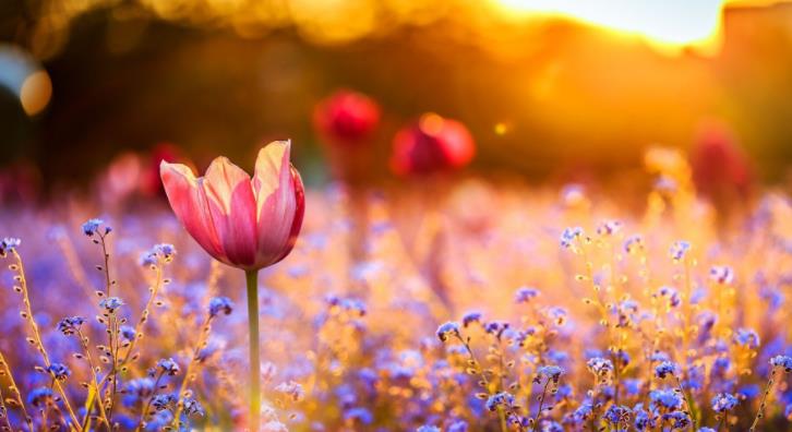 人为什么大多到中年后才会成功,中年人要学会什么才能成功