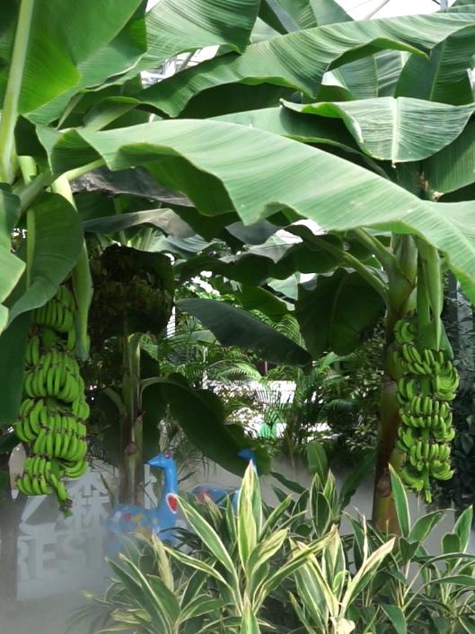 徒步露营带什么好吃的美食,旅行美食露营总有一款能治愈