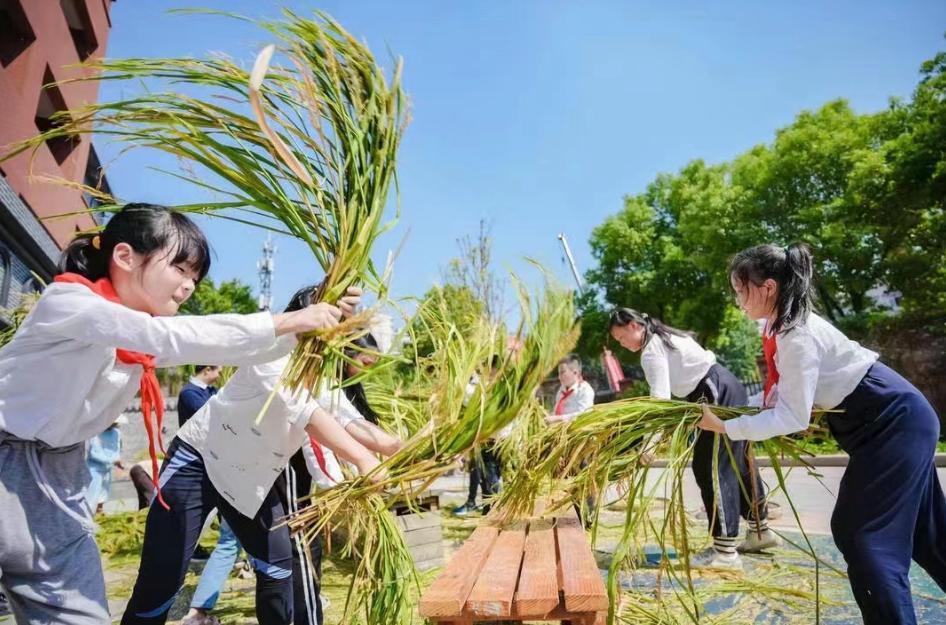 自然里,以青禾育童心——童心小学教育集团成功打造国际自然教育品牌
