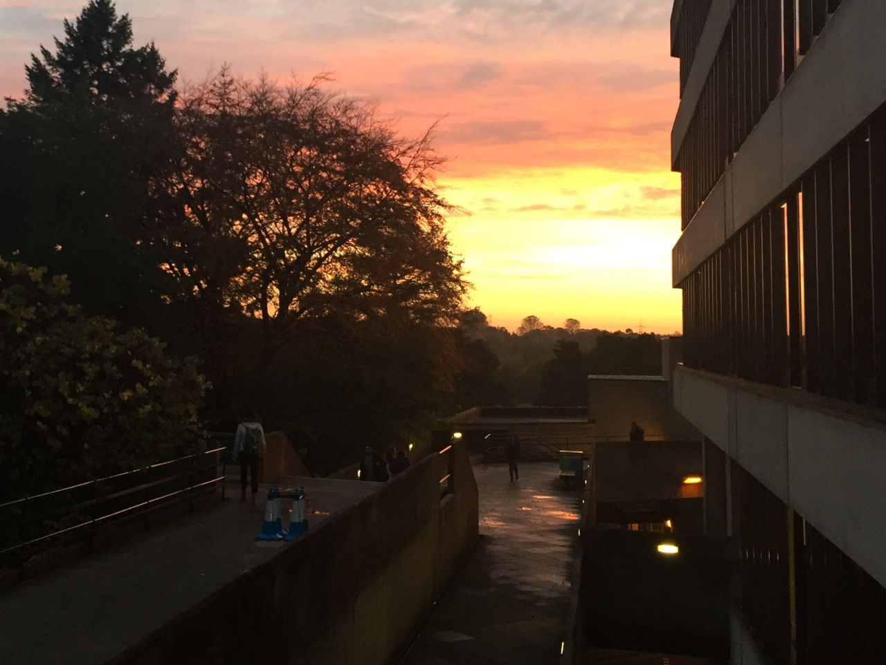 英国东英吉利大学24年世界排名,东英吉利大学世界大学