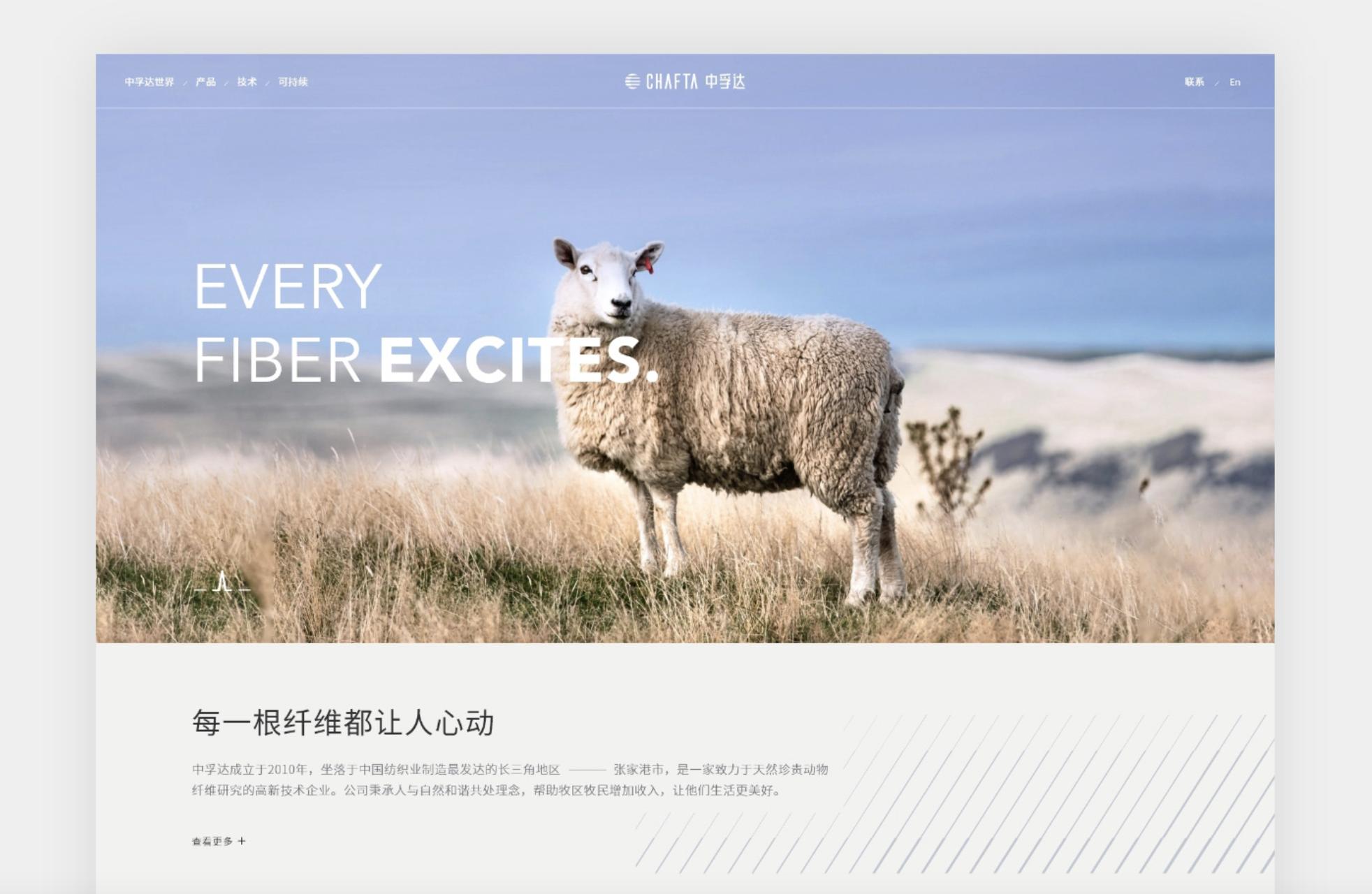 全球十大网络设备公司,全球十大网站排名