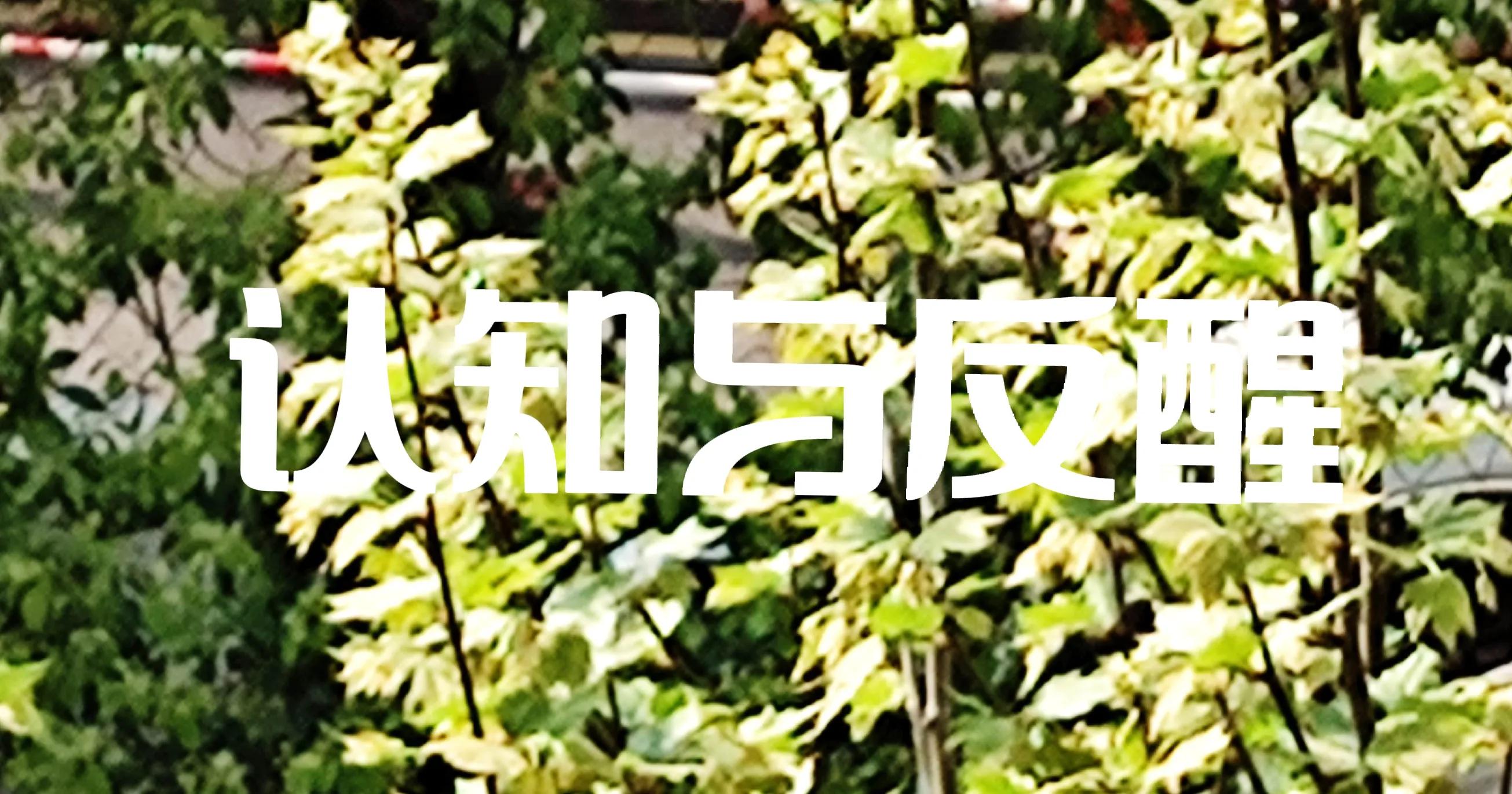 返还10%怎么算,10%回报高吗