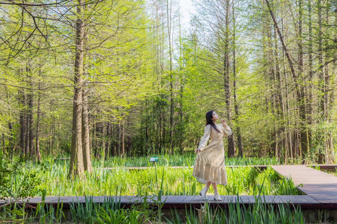 春日下江南杭州,春日下江南古镇