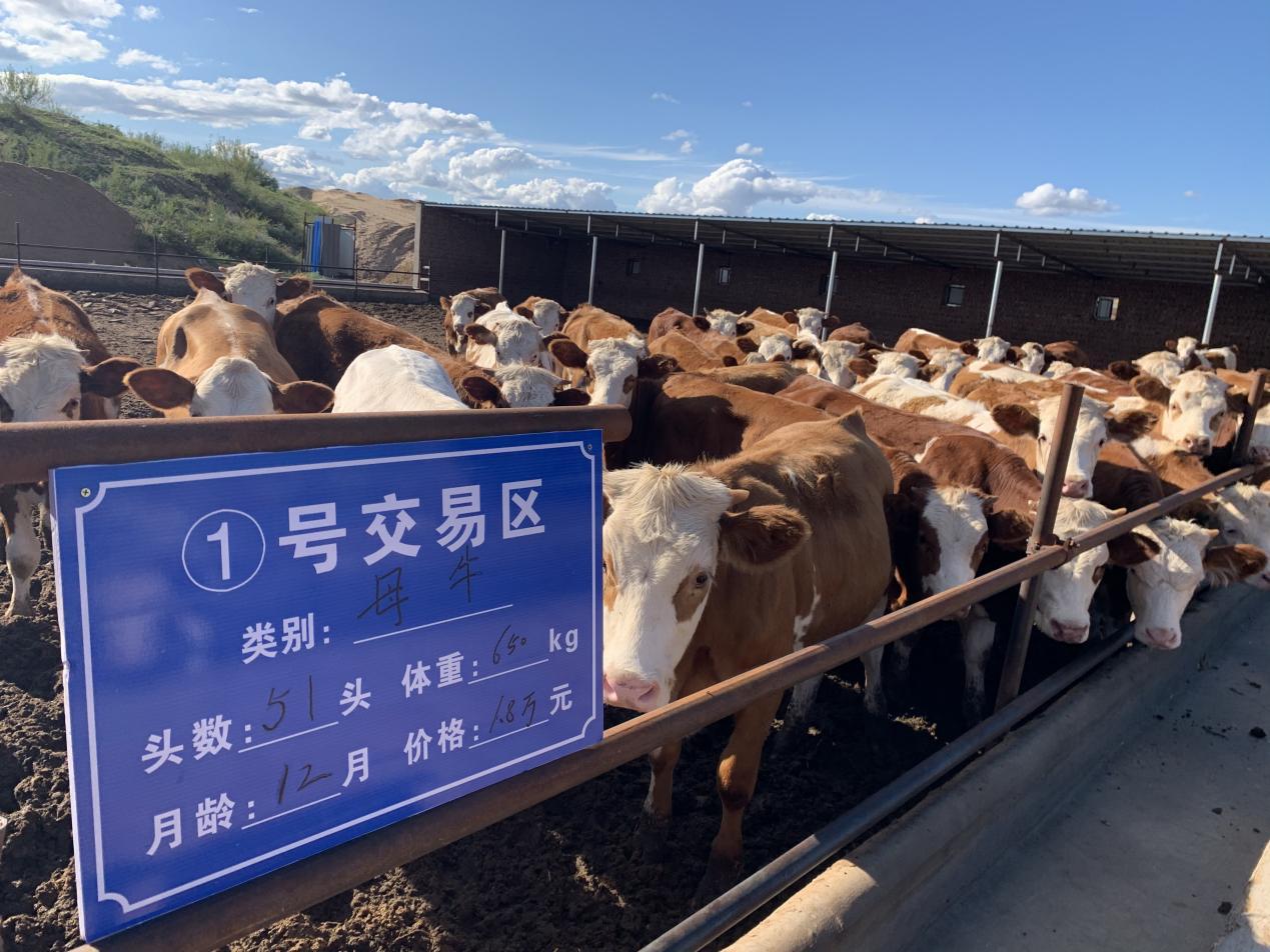 巴胡塔苏木简介,科左后旗巴胡塔