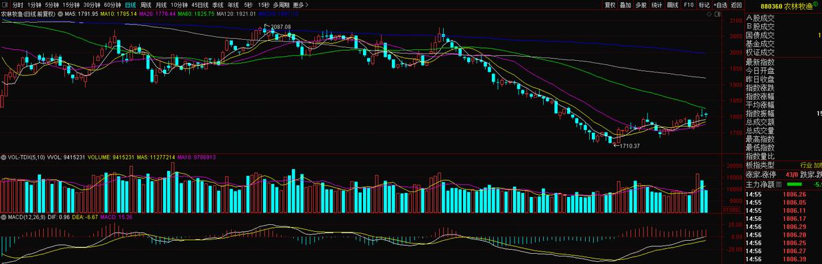 玉米杂交种子黄金粒,玉米的杂交育种