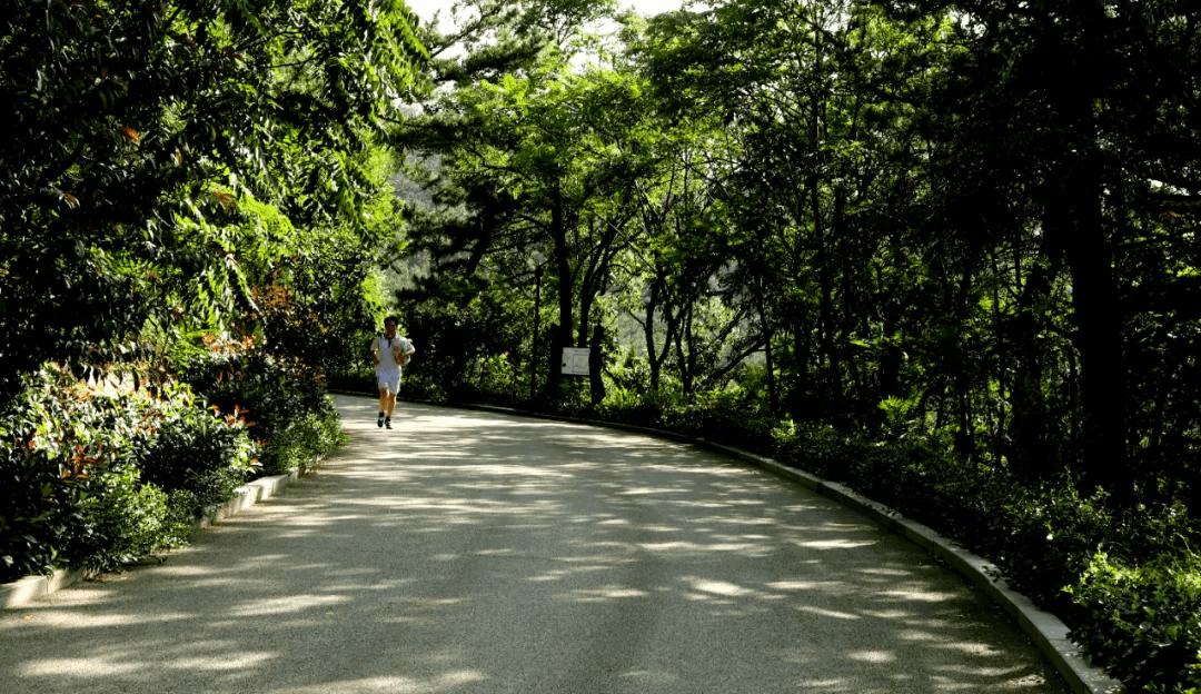 威海第二实验小学在哪里,威海市第二实验小学
