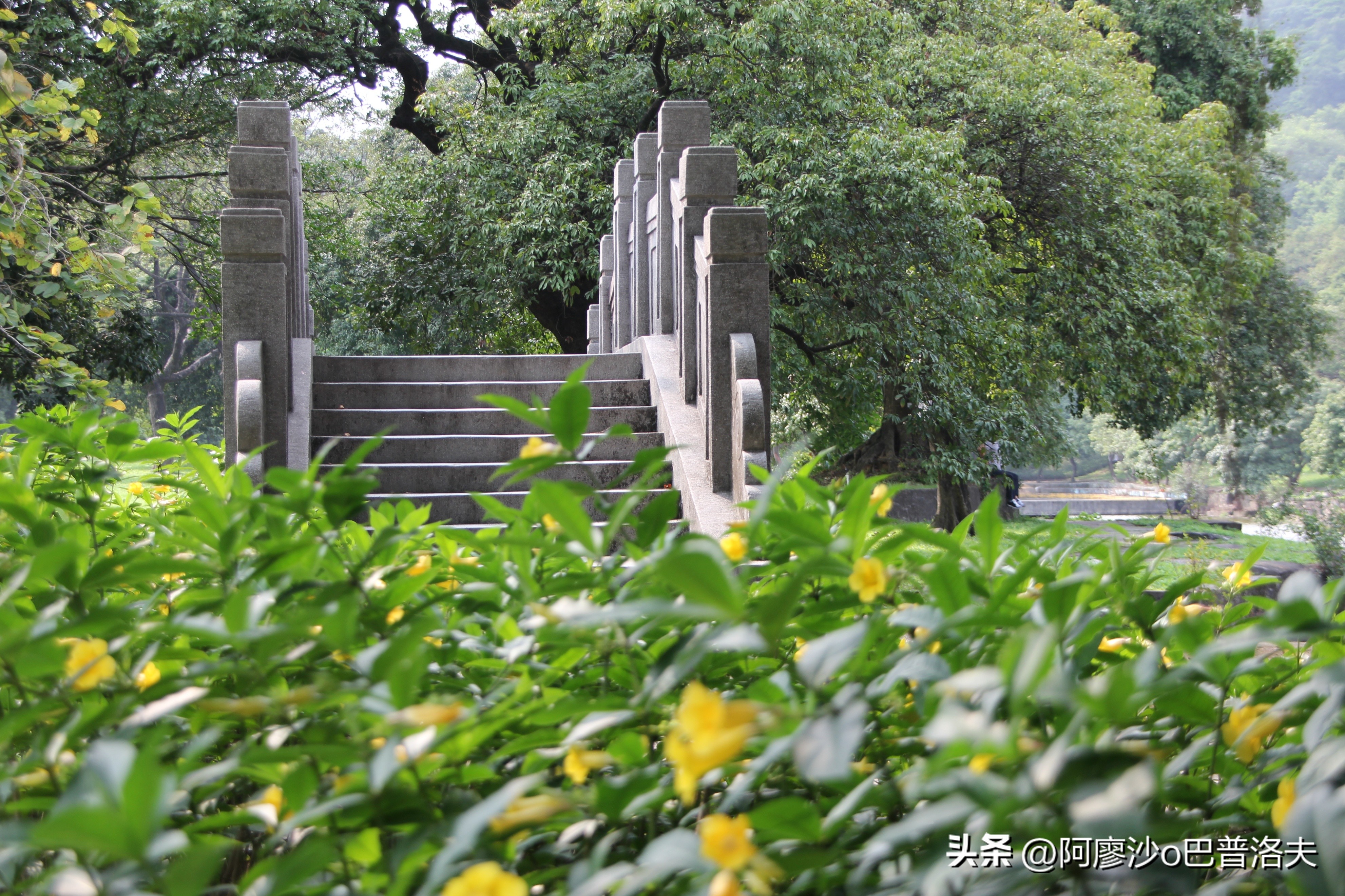 苹果12pm拍摄视频比12更好吗,佳能550d和iphone14拍摄对比