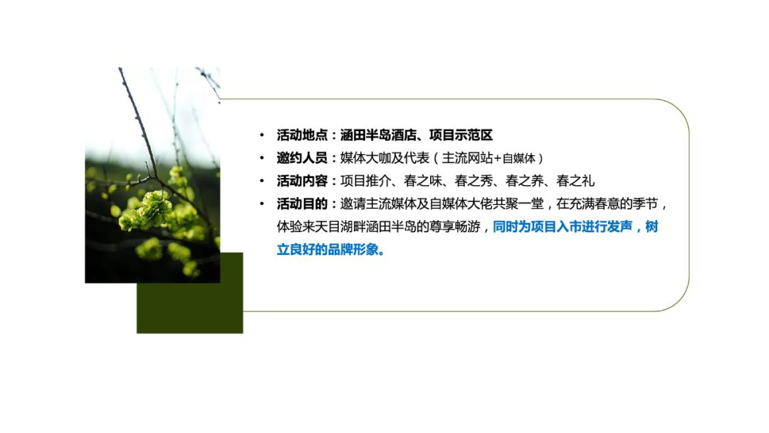 【案例】天目依云推广策略视觉提案