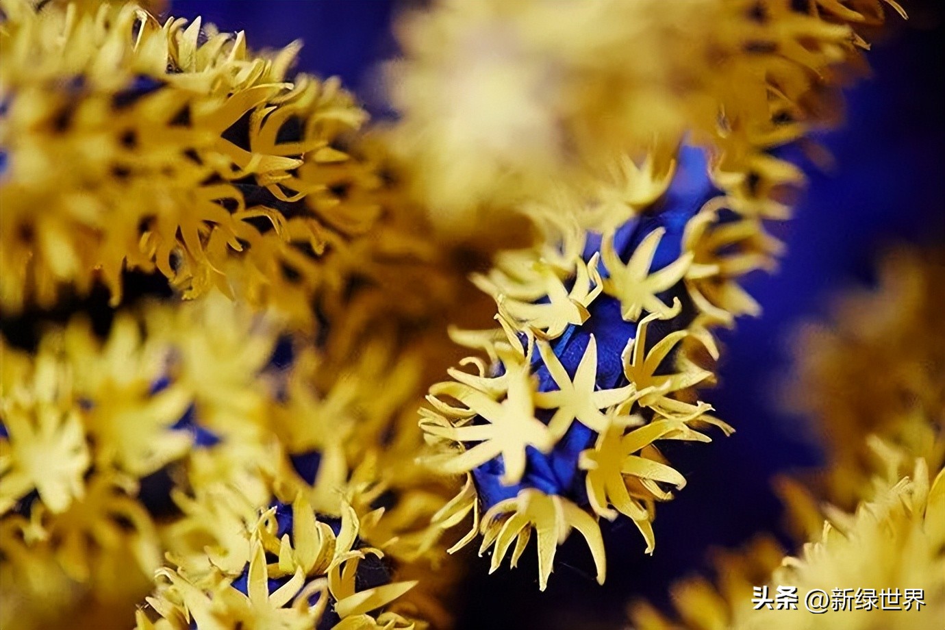 纸艺作品绘画,千变万化的纸艺术作品