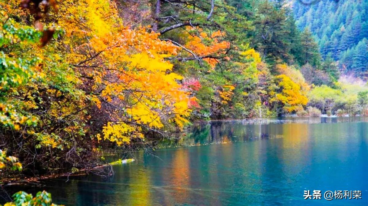 七律雪莲花的诗,七律长白山林海