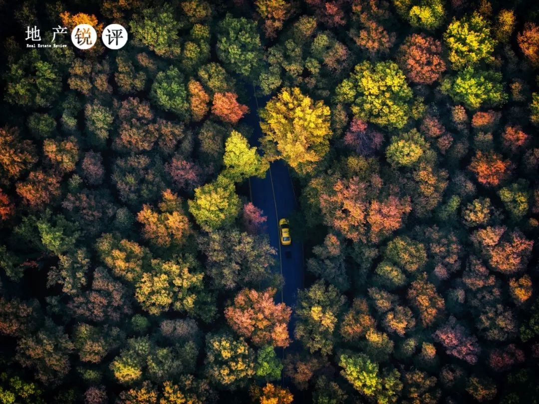 安家南京淘房,南京保利的房子值得买吗