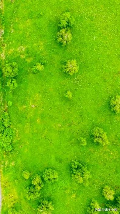 最美的手机壁纸大全,养眼养心的壁纸