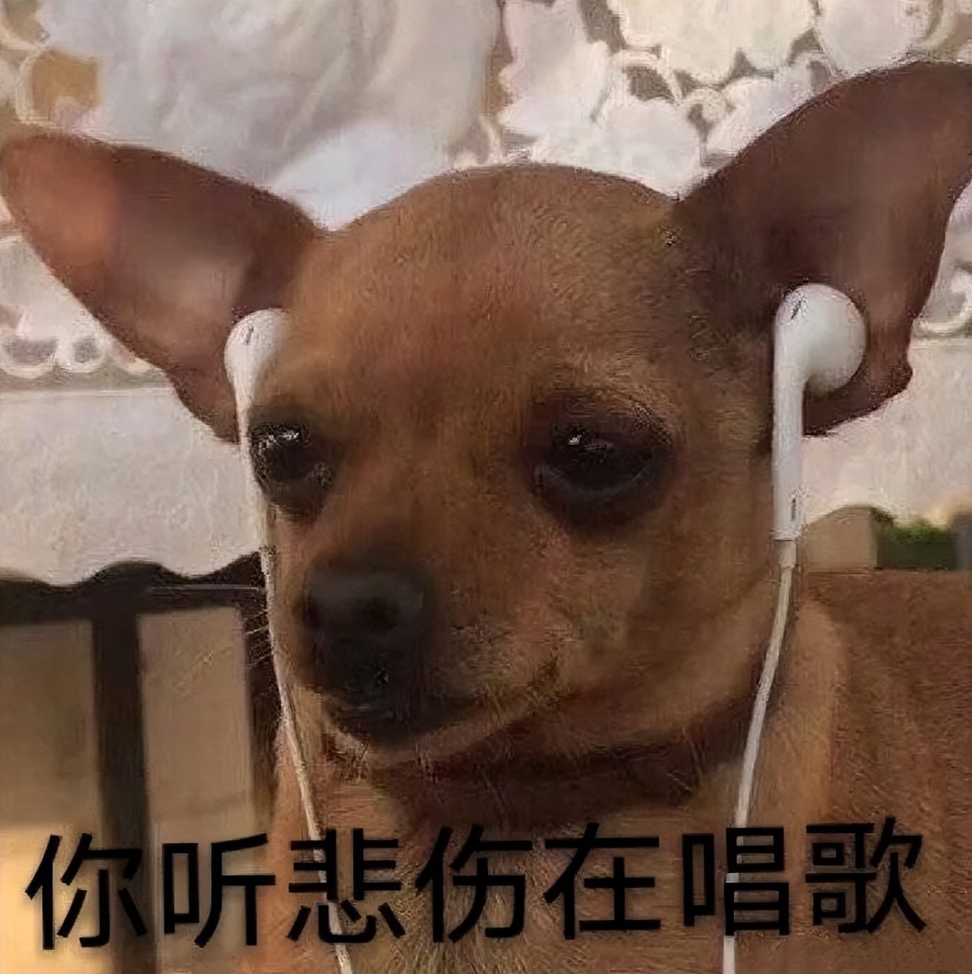 听歌表情高级,听歌网易云表情包