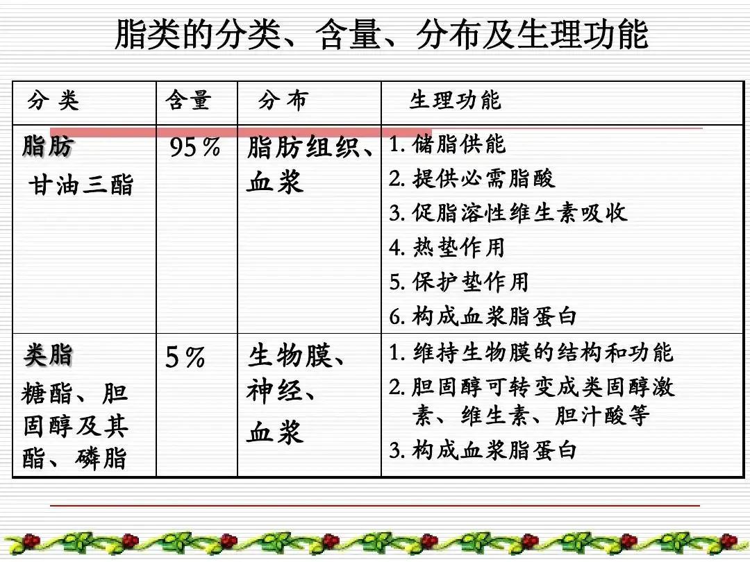 游泳体能差,游泳运动需要补充什么