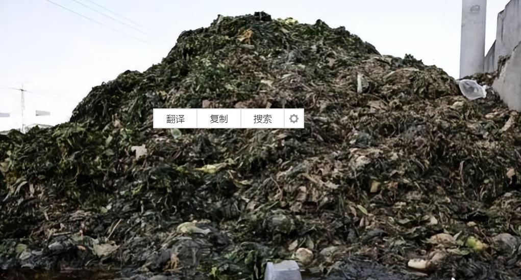 下架“富硒土豆”“玉蕾橄榄菜”等，提振消费信心，呼唤诚信之光