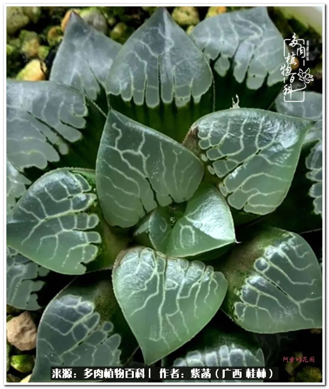 酷暑里的关爱，如十二卷般透亮绵长