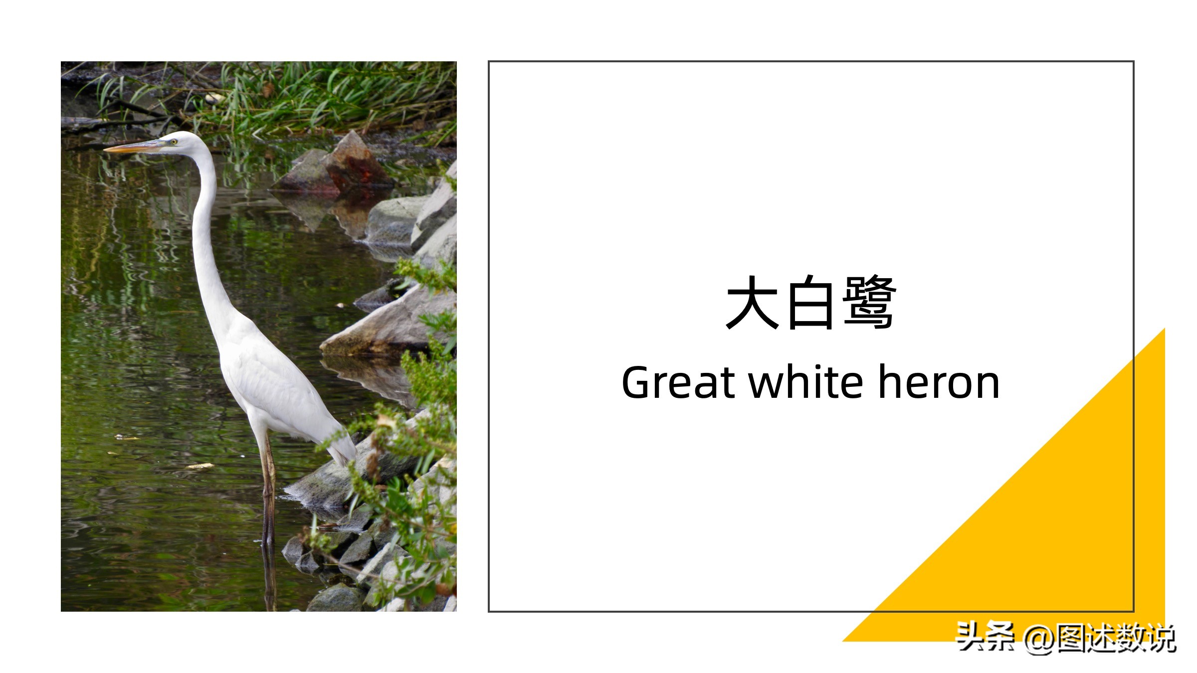 迈阿密梅西之城,迈阿密梅西适合踢哪个位置