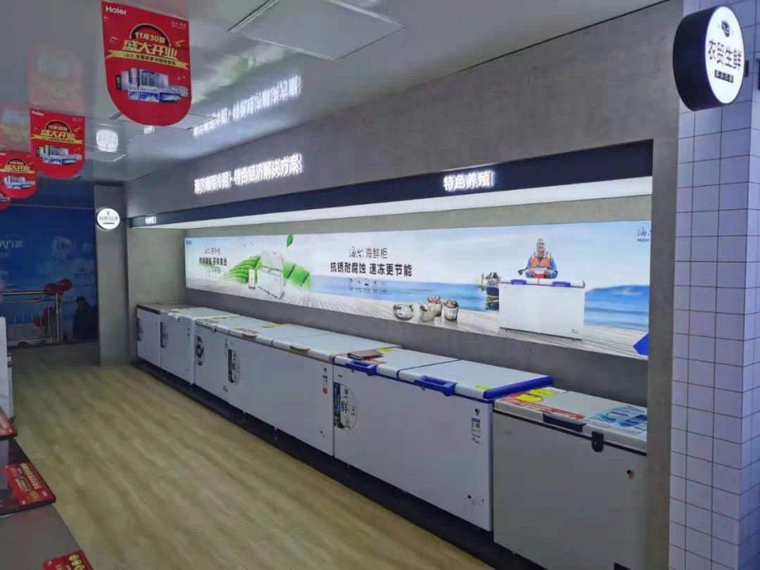 买海尔冷柜哪个渠道好,海尔囤货大冰箱