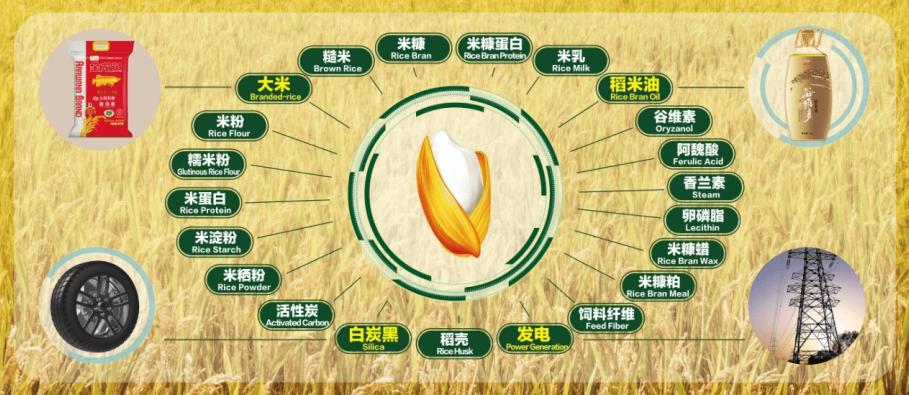 金龙鱼行情分析,金龙鱼怎么做到只跌不涨的