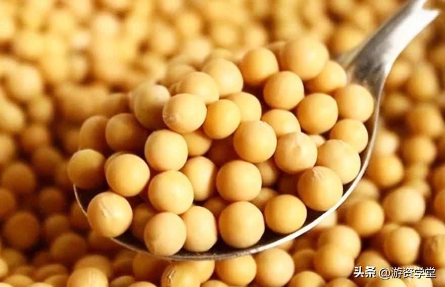 巴西大豆出口贸易现状及对策,巴西大豆对华出口