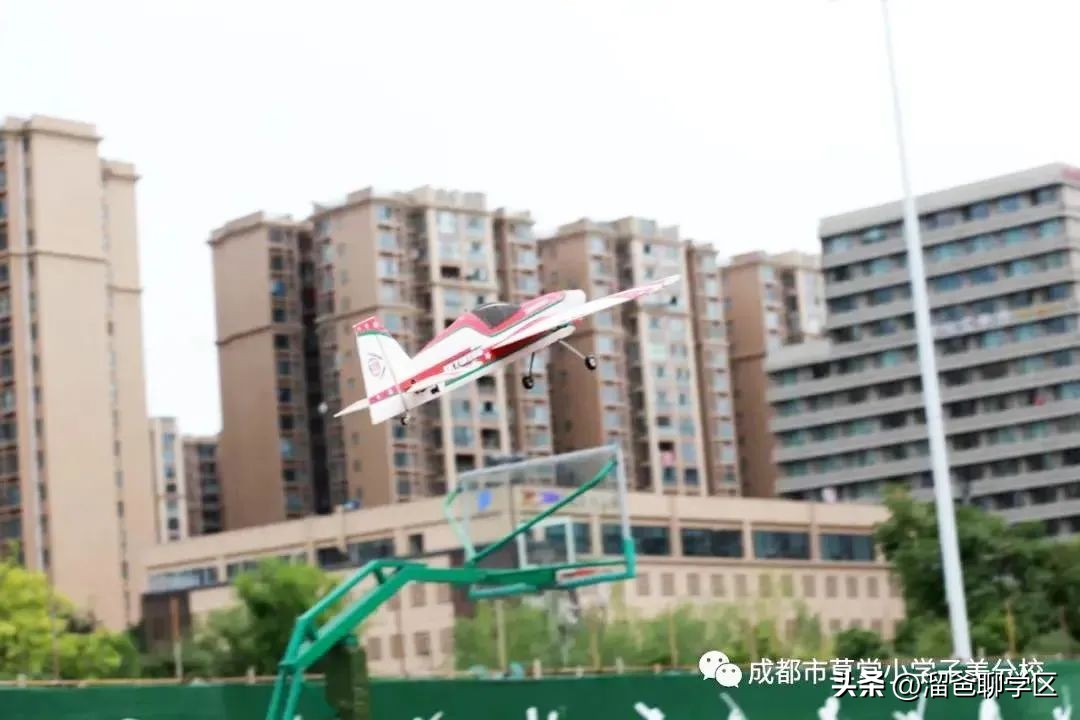 草堂子美,草堂子美怎么样