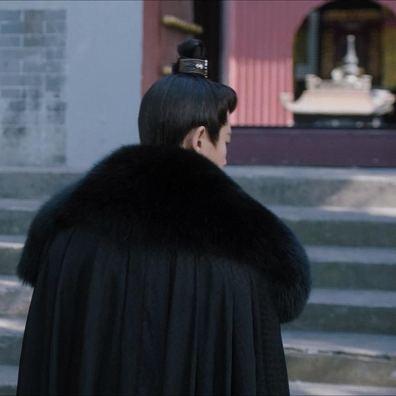 周生如故番外辰时,周生如故大结局有孩子吗