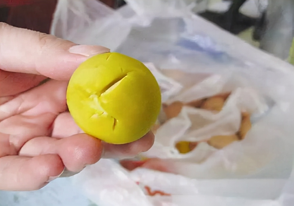 狗狗腿受伤,养宠小知识狗腿伤口腐烂处理方法