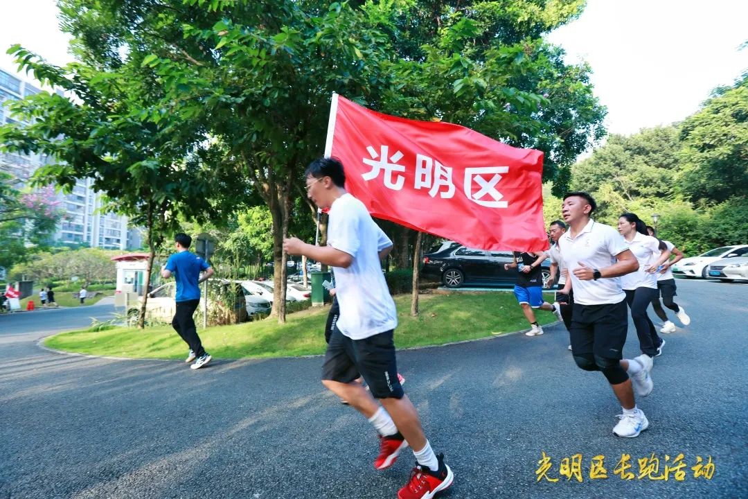 7台演出、6场展览、41场活动……请查收11月份光明区文化菜单！