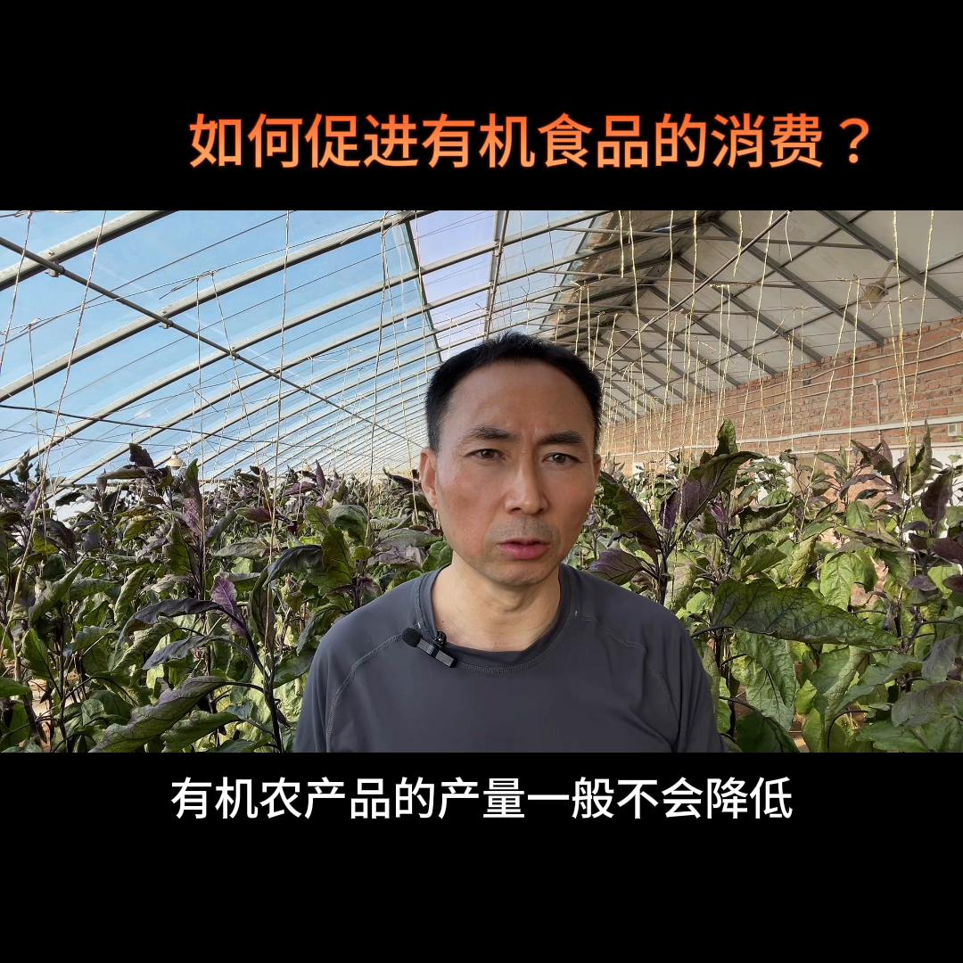 短期食品怎样在抖音运营,有机食品如何抖音运营