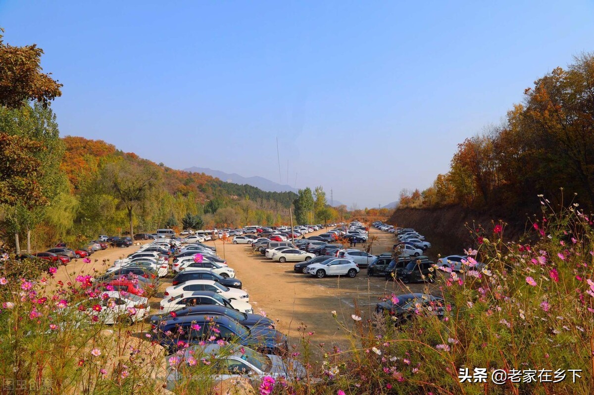 喇叭沟门原始森林最佳观赏区,喇叭沟门原始森林赏七彩秋景