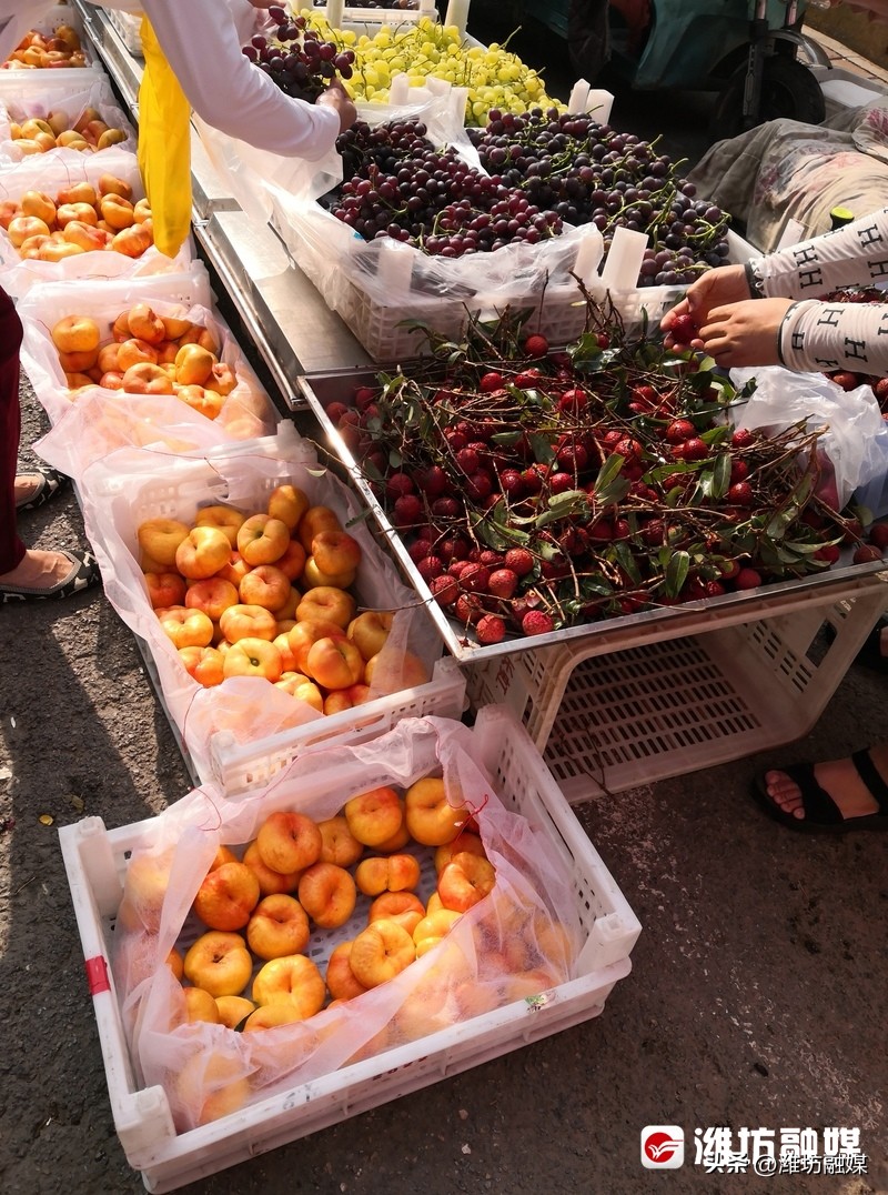 农贸市场“慢”游记⑩：新华乙巷早市，潍坊人的超长版“菜篮子”！