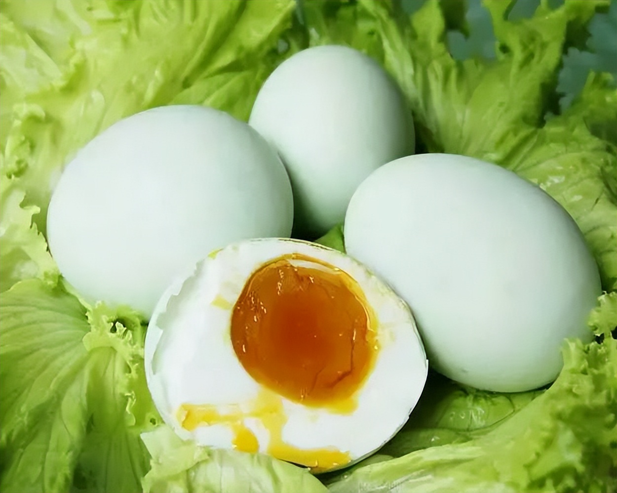 我爱我的家乡滨州市,我的家乡在滨州的作文