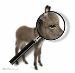 福州三坊七巷天后宫中秋民俗,福州三坊七巷十一月夜景