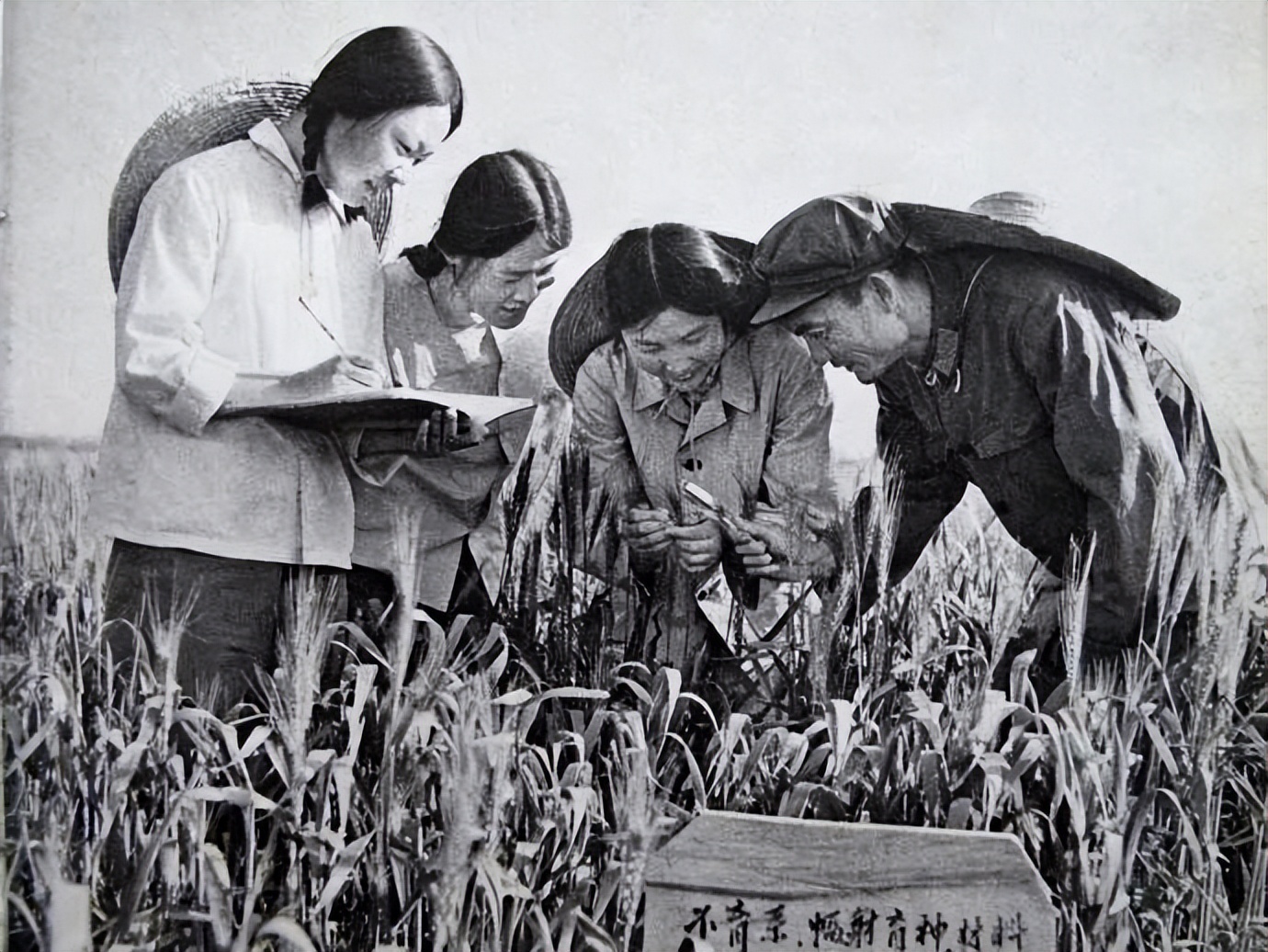 中国人民解放军部队组成部分,解放军通信兵团的序列