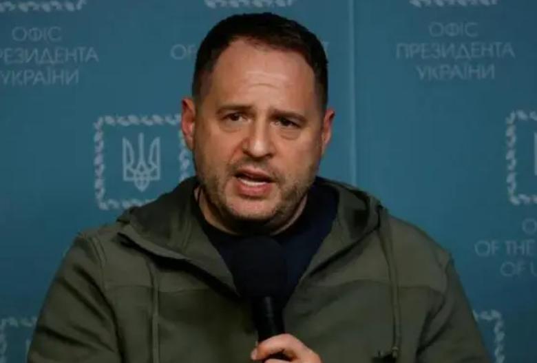 中国乌克兰峰会,乌克兰欢迎中国代表团最新消息