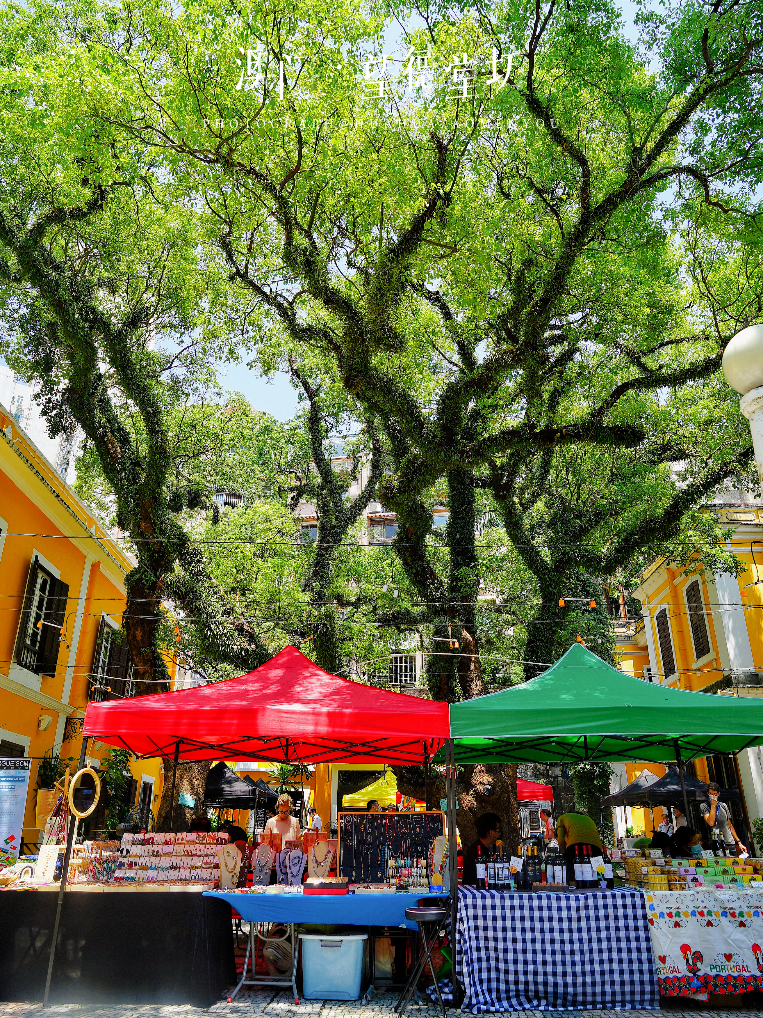 澳门旅游攻略自由行五一,澳门旅游攻略自由行一天夏天