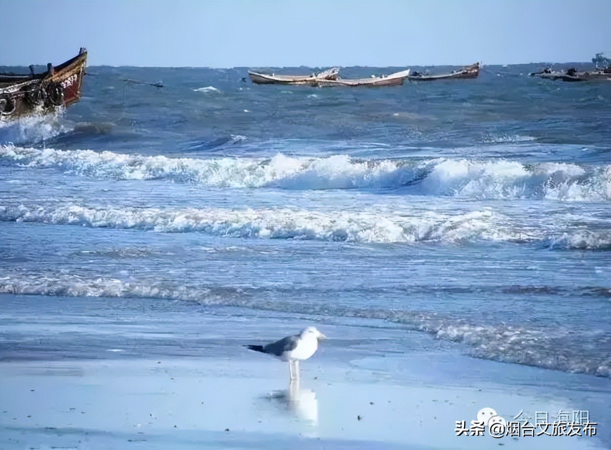 海阳避暑排名第一,山东海阳适合避暑的山村