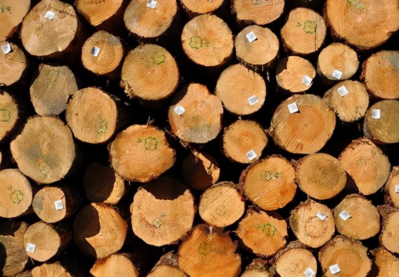 建材市场在水深火热中怎么样 (建材市场有什么猫腻)