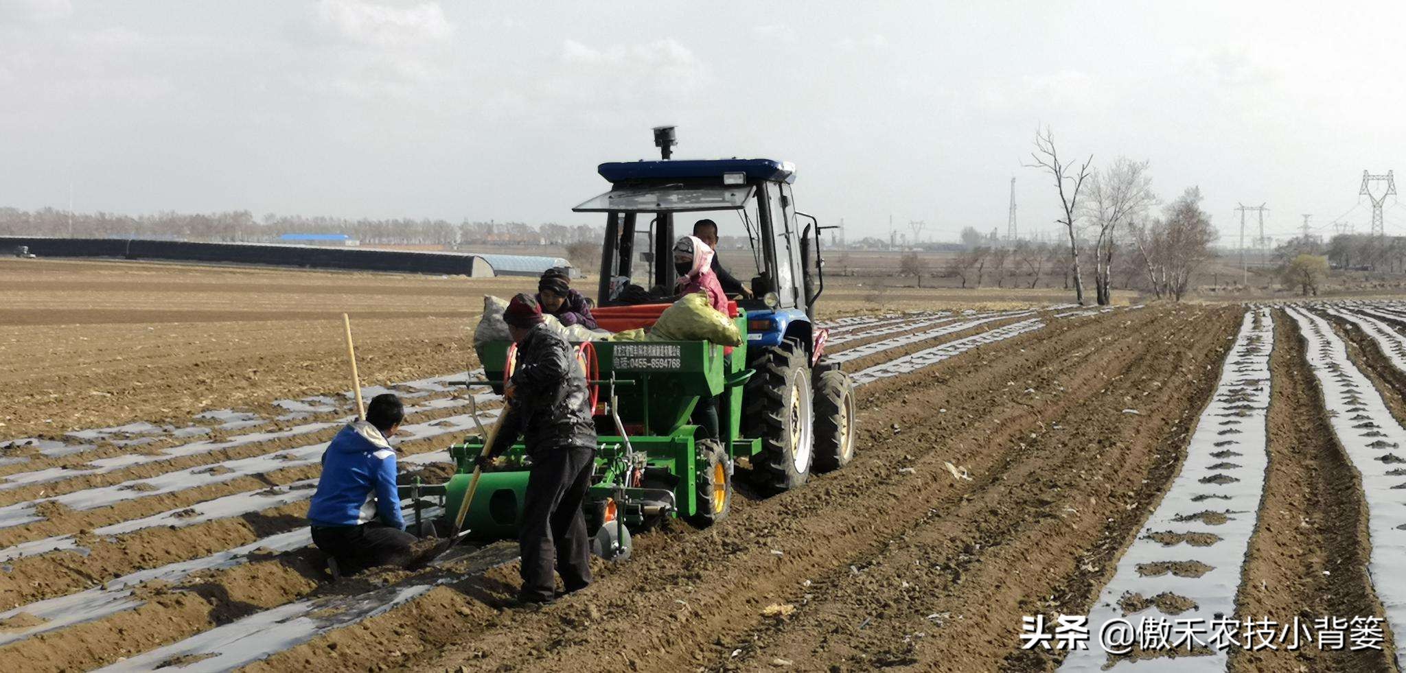 菌肥和菌剂的区别,菌肥与有机肥的区别
