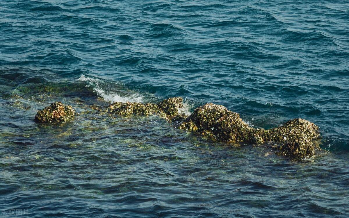 大连最值得去的八大风景图片,大连能看海的地方都有哪些