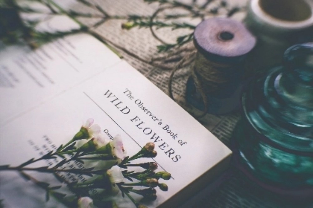 如何将微信图片转换word文档,如何将pdf图片复制到word文档上