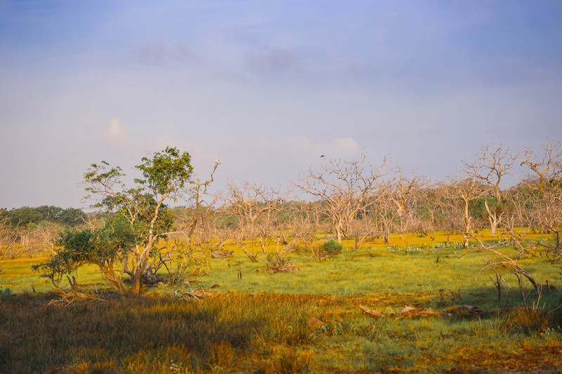 斯里兰卡旅游攻略必去景点,斯里兰卡最佳旅游攻略