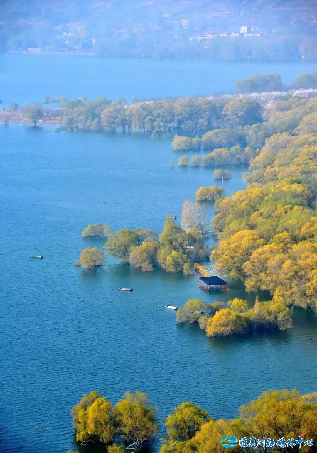 2024骞村宸磋兒閰嶈壊,缁胯壊鐨勫宸磋兒閰嶈壊